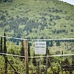 Casa Lavanda Panzano In Chianti Semesterbostad Greve in Chianti