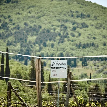 Casa Lavanda Panzano In Chianti Holiday home Greve in Chianti