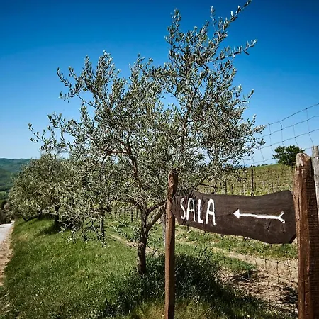 Casa Lavanda Panzano In Chianti *