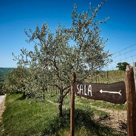 Casa Lavanda Panzano In Chianti *