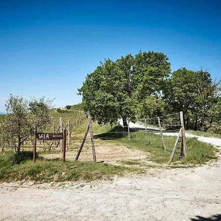 Holiday home Casa Lavanda Panzano In Chianti Greve in Chianti